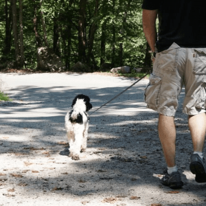 File Dec 20, 3 48 22 PM