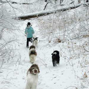 JPG-1536x2048-157930