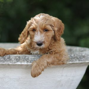 Photo Aug 05, 11 35 39 PM