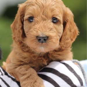 Photo Jun 22, 8 10 48 PM