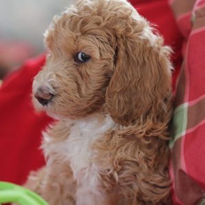 Photo Jun 22, 8 10 58 PM