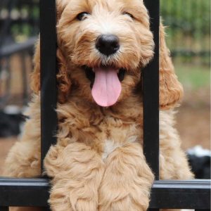 Photo Jun 22, 8 11 48 PM