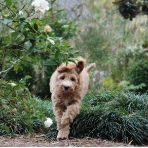 Photo Jun 22, 8 11 53 PM