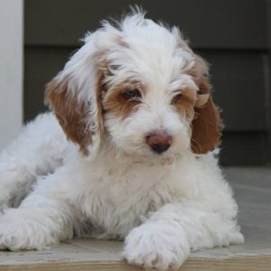 Photo May 06, 11 46 39 PM