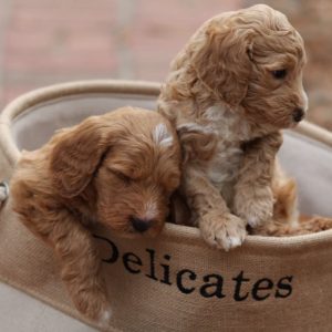 Photo May 29, 5 47 08 PM