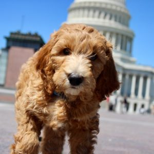 Photo May 31, 3 51 47 PM