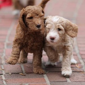 Photo Nov 17, 9 48 05 PM