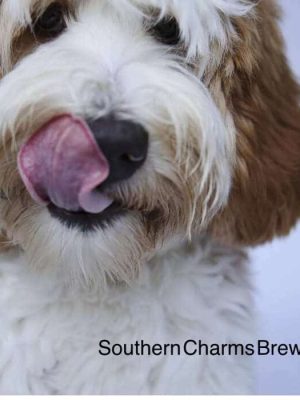 File Aug 21, 8 38 41 PM