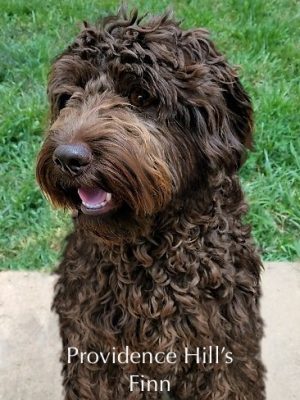 File Aug 21, 8 49 16 PM