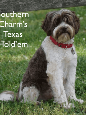 File May 03, 8 54 35 PM