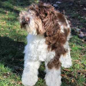 Photo Jan 19, 2 39 35 PM