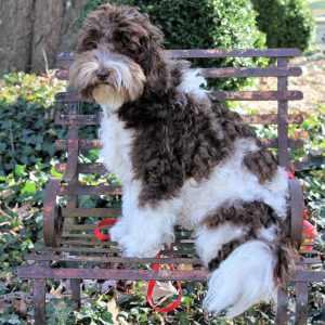 Photo Jan 19, 2 41 20 PM