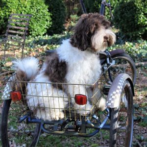 Photo Jan 19, 2 42 46 PM