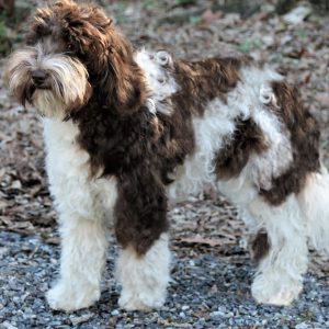 Photo Jan 19, 2 44 18 PM