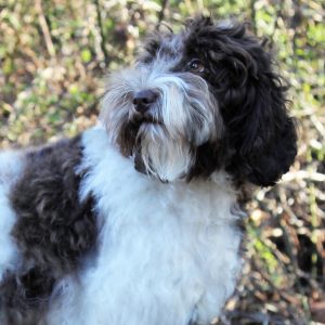 Photo Jan 19, 2 45 45 PM (1)