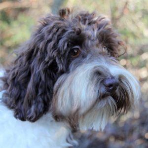 Photo Jan 19, 2 46 08 PM (2)