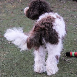 Photo Jan 19, 2 50 25 PM