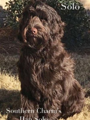 034ADFDE-049B-4711-BBE0-727D9DA93303