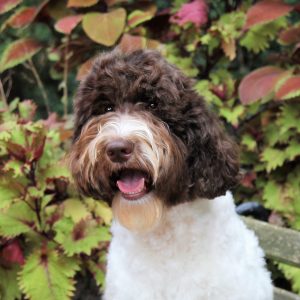 Photo Aug 13, 2 59 14 PM