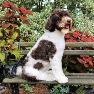 Photo Aug 13, 2 59 53 PM