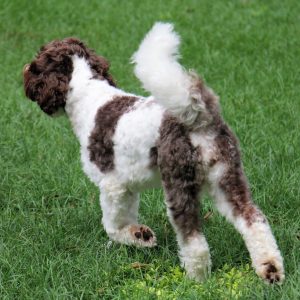 Photo Aug 13, 3 04 34 PM