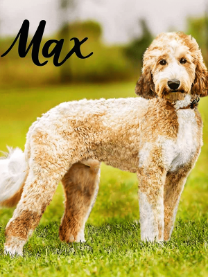 received_191933983061031