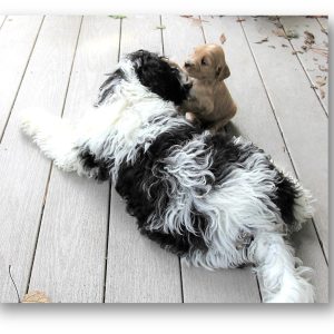 "Will you be my friend...?"